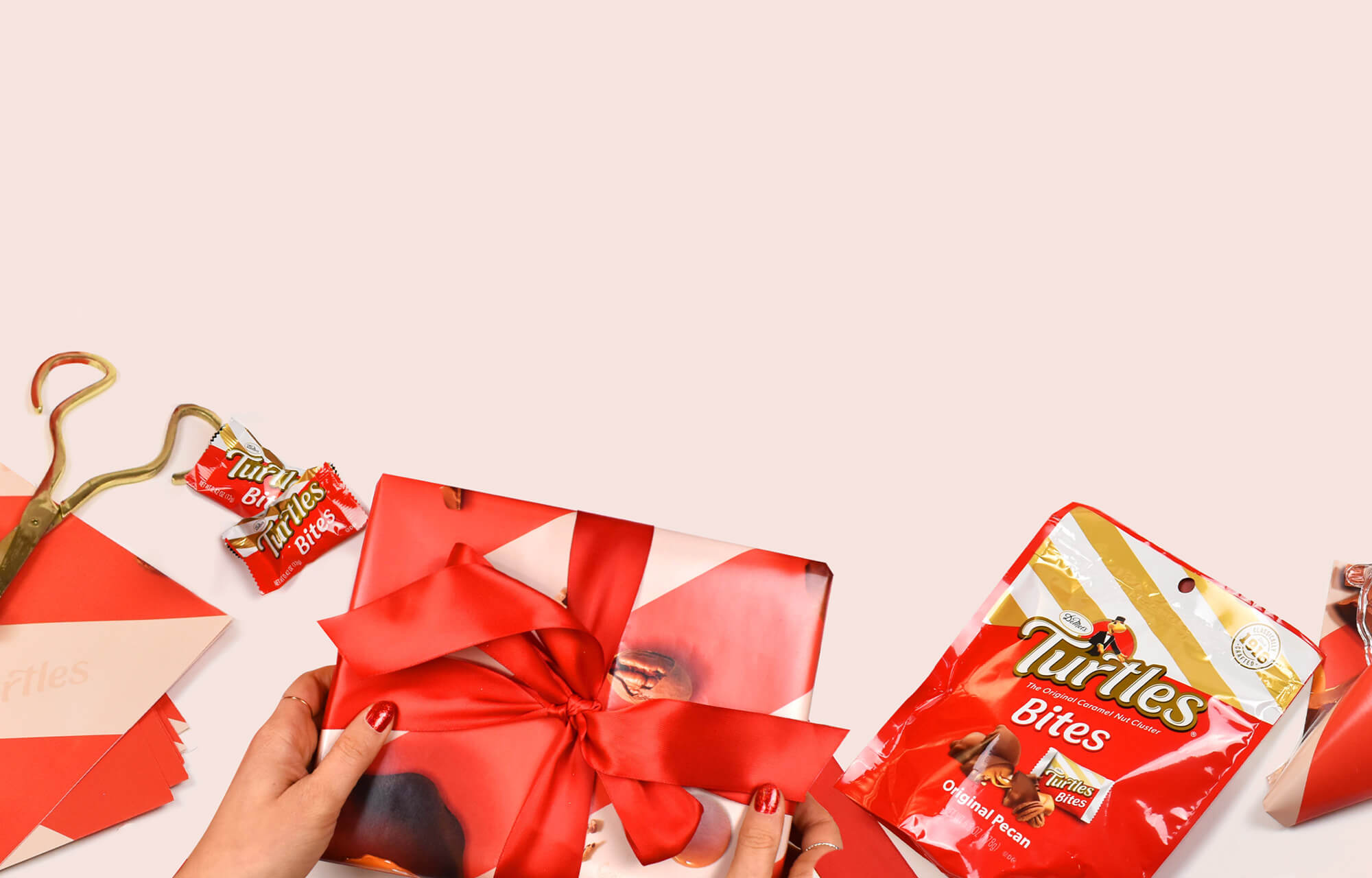 Turtles_ChocolateCoveredAnythingDay_Slider_Mobile