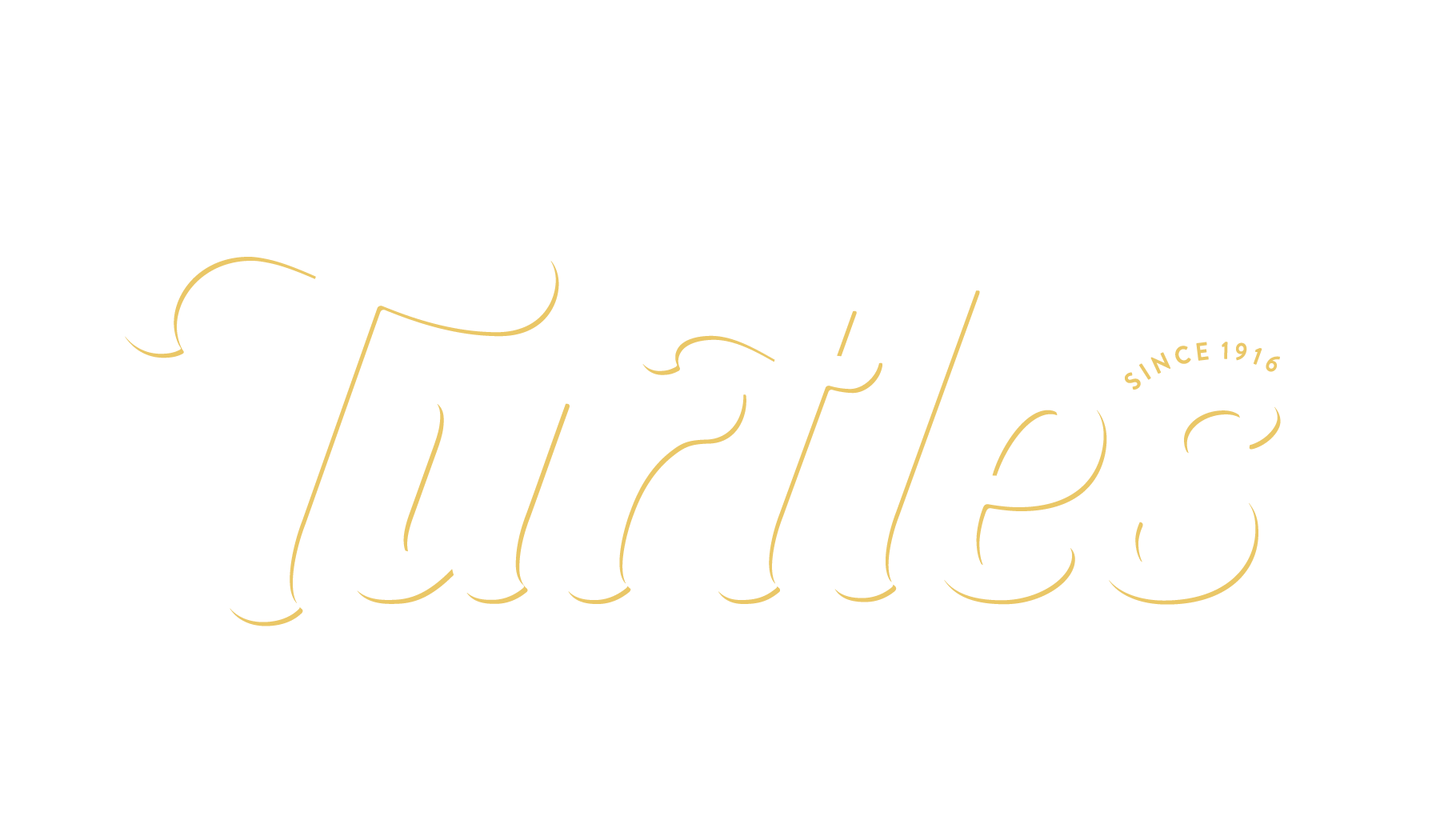 DeMet's Turtles Logo - Footer