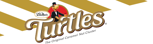 DeMet's Turtles Logo