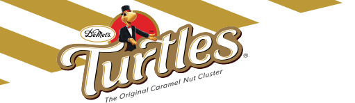 DeMet's Turtles Logo