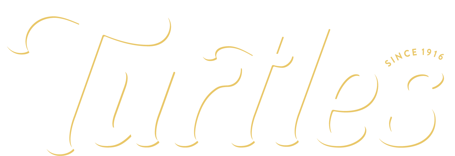 DeMet's Turtles Logo