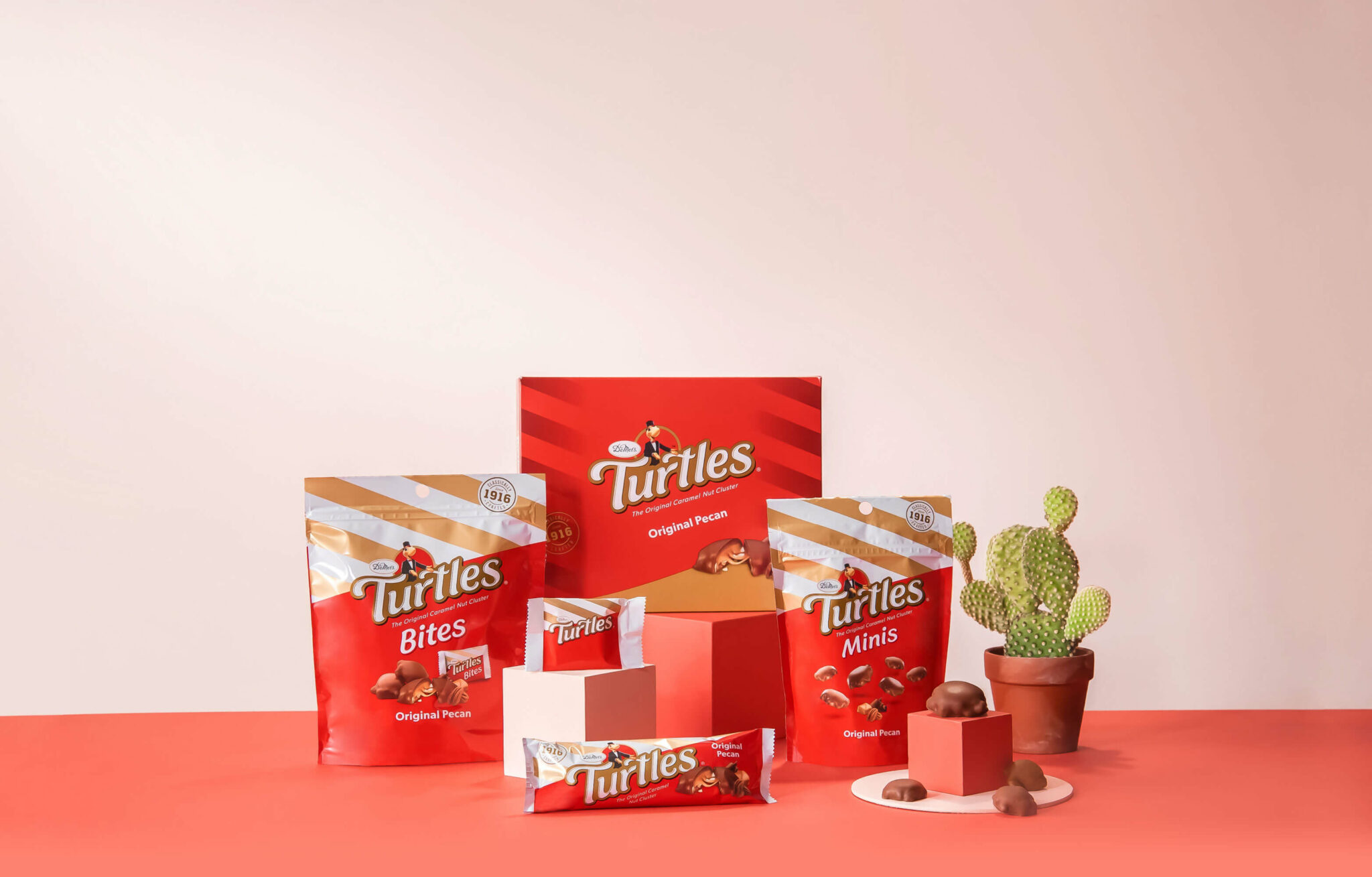 Home DeMet's Turtles